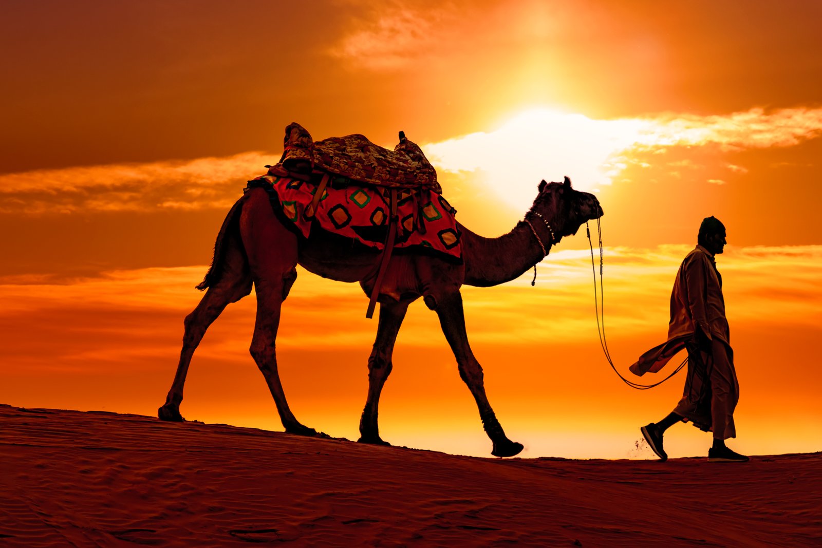 Migration of Rajasthan